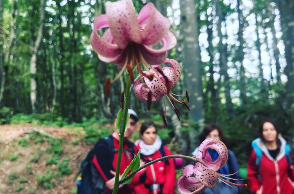 Trekking & Yoga – Alle sorgenti del fiume Secchia – domenica 7 luglio