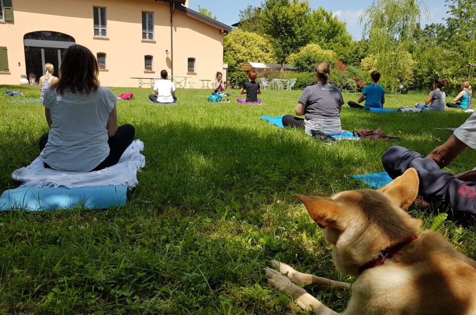 Trekking & Yoga domenica 23 maggio al Parco Acquechiare